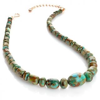 Mine Finds by Jay King Cabaillo Turquoise Copper 19 Necklace