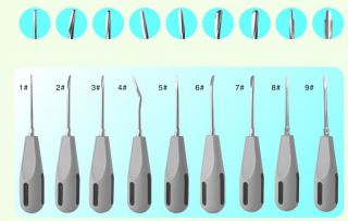 Dental Orthodontic Root Elevator(gray plastic handle)   size 6#