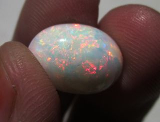  TOP RAINBOW FIRE OVAL NATURAL ETHIOPIAN WELO OPAL STARTING 0 99 VIDEO