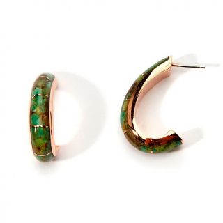 Jay King Misty Mountain Green Turquoise Copper Earrings