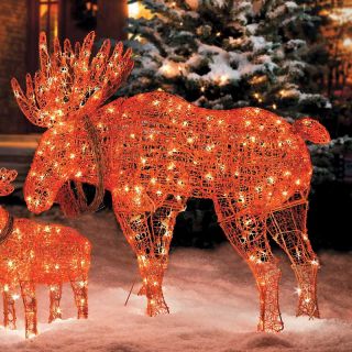 Improvements 42 Lighted Wireframe Moose Christmas Decoration