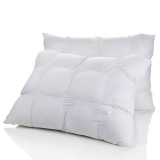  loft zone bed pillow pair note customer pick rating 51 $ 39 95 s h