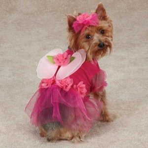 Dog Flower Fairy Princess Halloween Costume Pink Pet Clothes XS s M L