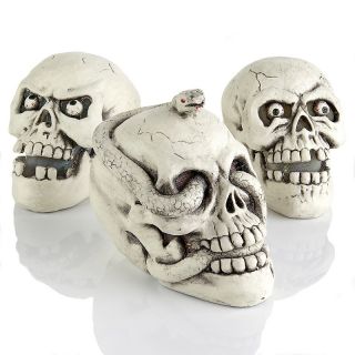 Halloween Set of 3 Skull Decorations with LED Lights