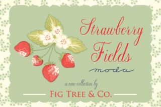 Strawberry Fields Floral Picnic Aqua Moda Fabric 1 2 Yd