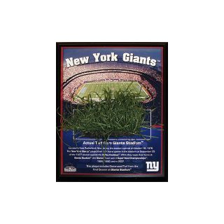 107 8877 steiner sports giants stadium game used turf plaque new york