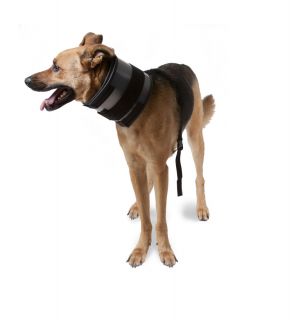 Bite Free Cervical Dog Collar Flexible Adjustable Cone Elizabethian