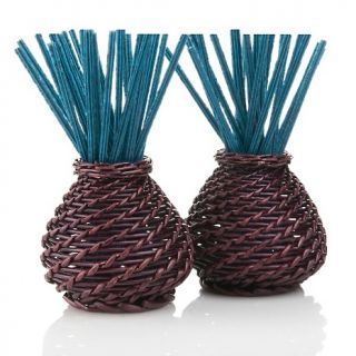 Joy Mangano Forever Fragrant® Enhanced Sticks in Willow Vases