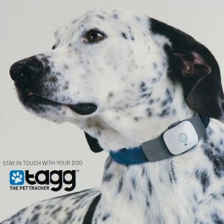 Tagg   The Pet Tracker™ with  Exclusive Bundle