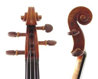  Salo Concert Violin 2347 Engelman Spruce  Platinum Seller