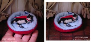 OOAK Dollhouse Realistic Miniature 1 12 Cat Handmade with Bed Toys
