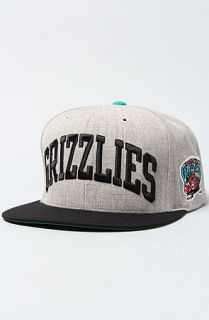 Mitchell & Ness The Vancouver Grizzlies Basic Arch Snapback