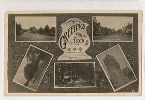 Greetings From Epping Vintage RP Postcard 0405