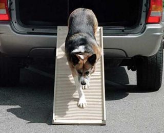  Portable Folding Dog Pet Step II Ramp 500 lb Petstep II