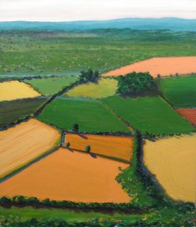 Jeff Tabor Rich Fields Original Acrylic Painting on Canvas, aerial