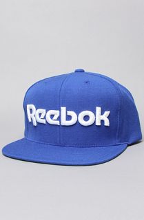 Reebok The Workout Snapback Cap in Ice