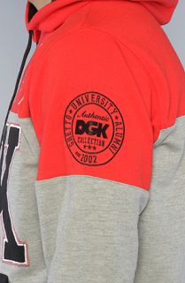 DGK The DGK Honors Pullover Hoody in Red