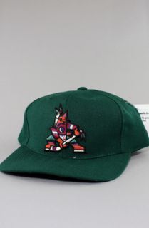 Vintage Deadstock Coyotes Snapback HatGreen