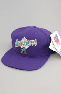 Vintage Deadstock Arizona Diamondbacks Fitted HatPurpPurp  Karmaloop