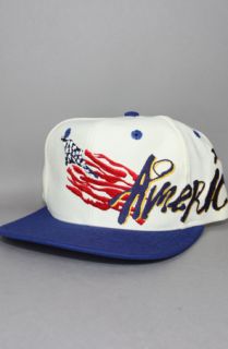 Vintage Deadstock 94 World Cup Snapback HatAmericaIvoryBlue