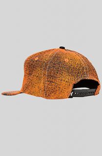 Hippo Esthetics HIPPOE SKIN 6 PANEL HYBRID SNAPBACKORANGE  Karmaloop