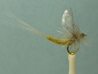 12 Artflies Extended Body Dry Flies   Olive Yellow BWO, #18, [PN1611 A