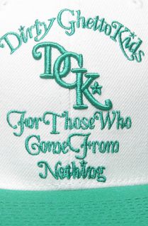 DGK The From Nothing Snapback Cap in White Green