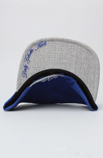 DGK The Go Getters Snapback Cap in Royal Grey