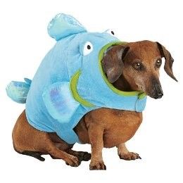 blowfish dog fish pet costume large 18 22 new