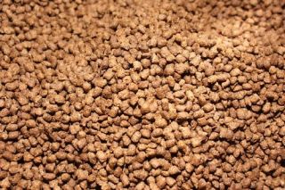 Pond fish Food for Live Koi Floating Pellet 1/8 36% Protein 10 lbs