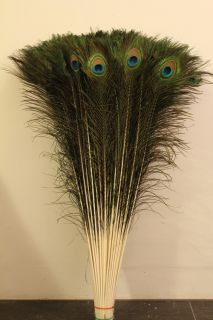 Wholesale Natural Real Peacock Tail Feathers 30 32 Inches