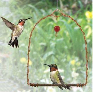 Songbird Hummingbird Copper Swing Rust Proof 100 USA Made w Red Glass