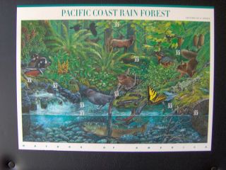 Pacific Coast Rain Forest   Scott #3378a j Mint Never Hinged Sheet at