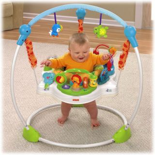 Fisher Price Precious Planet Blue Sky Jumperoo Activity Gym Jumper New