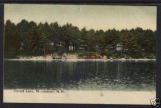  190X Forest Lake Winchester NH UDB Postcard