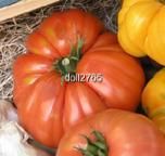 25. BEEFSTEAK TOMATO (150+plus seeds)yummy all time favorite