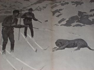 FREDERIC REMINGTON 1902 Original Folio Print Hunting Lioness Skiers