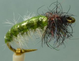 12 Artflies Vinyl Back Caddis Larva Flies   Green, #12 [PN2112 A]