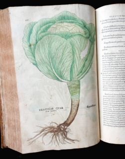 1542 Fuchs De Historia Stirpium Herbal 500+ Full Page Folio