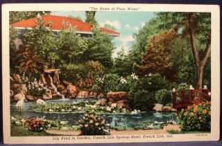 Pluto Water Lily Pond French Lick Springs Hotel Indiana Linen Postcard