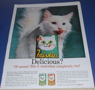 1962 Friskies Cat Food Ad Adorable White Cat