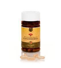 Organo Gold 100 Certified Organic Ganoderma Capsules