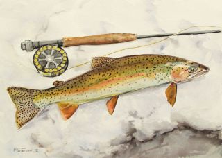 Original Painting Rainbow Trout Fishing Landscape Wildlife Mortensen