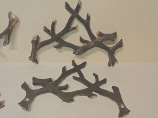 Tree Branch Accent Forest Brown Log Branches Antler Figures 10 5 x 7