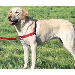 Premier Gentle Leader Easy Walk Dog Harnesses
