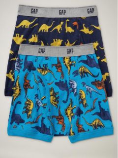 Gap Boys Underwear Briefs Dino Dinosaur SM M L