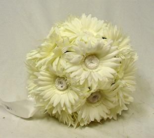 Gerbera Daisies 9 Large Balls Cream Ivory Wedding Flowers Pew Bows