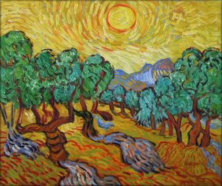 High Q. Oil Painting Repro Van Gogh Olive Trees with Yellow Sky and
