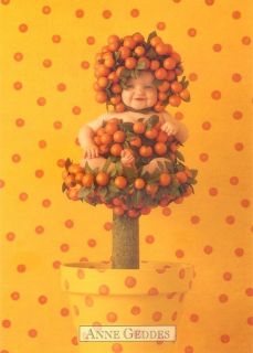 Original Anne Geddes Postcard Baby Child Orange Tree Fruit