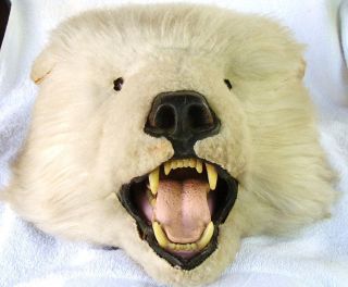 Vintage 1950s Polar Bear Rug Head Taxidermy Faux Fur Glass Eyes Jonas